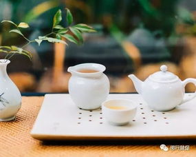 弘泰金融外包服務面試會 把握機遇，在金融外包服務領域揚帆起航